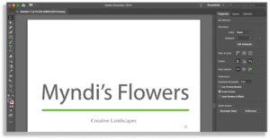 Illustrator type